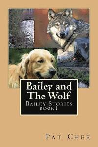 bokomslag Bailey and The Wolf