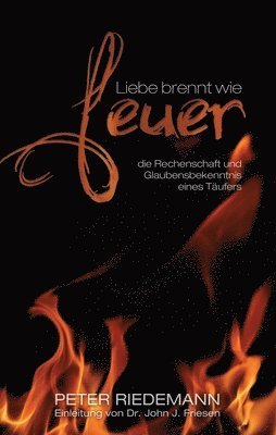 Peter Riedemann - Liebe brennt wie Feuer, Häftad