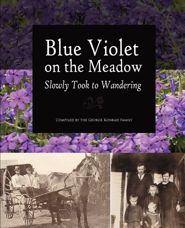 Blue Violet on the Meadow Slowly Took to Wandering 1