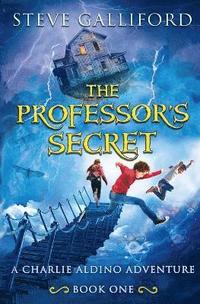 bokomslag The Professor's Secret