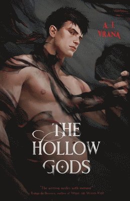 bokomslag Hollow Gods
