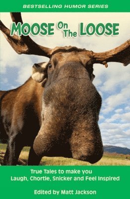 Moose on the Loose 1