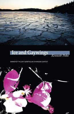 Kenneth Pobo - Ice and Gaywings, Häftad