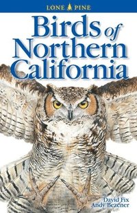 bokomslag Birds Of Northern California