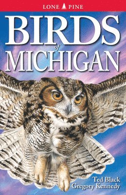 Gregory Kennedy, Ted Black - Birds of Michigan, Häftad