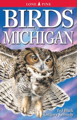 Birds Of Michigan 1