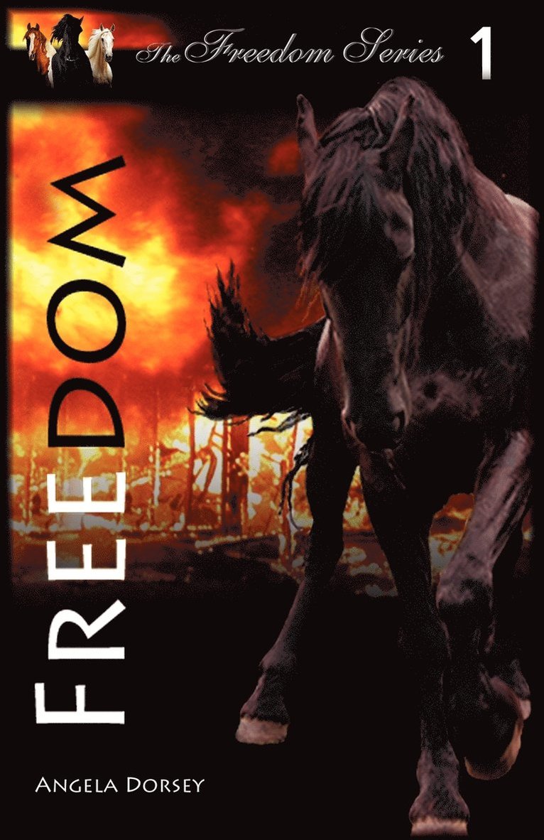 Angela Dorsey - Freedom, Häftad