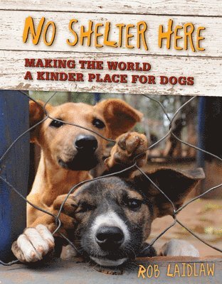 No Shelter Here 1