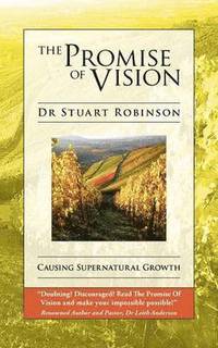 bokomslag The Promise Of Vision