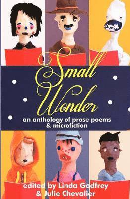 bokomslag Small Wonder