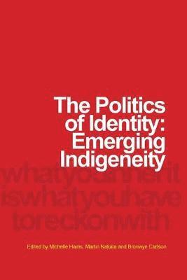 bokomslag Politics of Identity