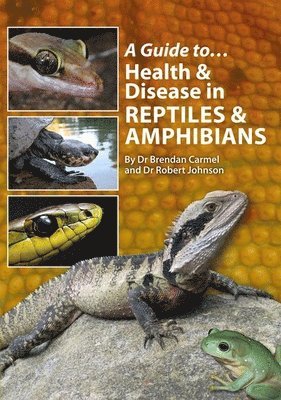 Brendan Carmel, Robert Johnson - GT HEALTH & DISEASE IN REPTILE, Häftad