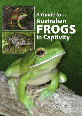 GT AUSTRALIAN FROGS IN CAPTIVI