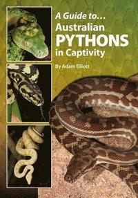 bokomslag A Guide to Australian Pythons in Captivity