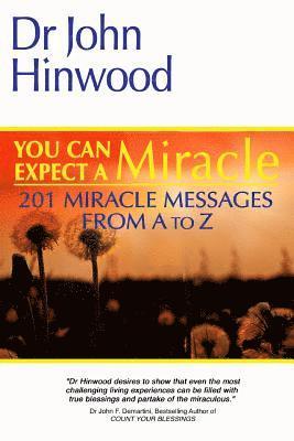 bokomslag You Can EXPECT A MIRACLE: 201 Miracle Messages From A to Z