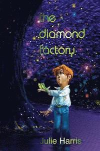 bokomslag The Diamond Factory