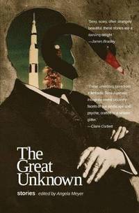 bokomslag The Great Unknown