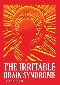 bokomslag Irritable Brain Syndrome