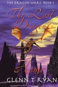 bokomslag Last Dragon Home