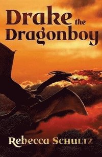 bokomslag Drake the Dragonboy