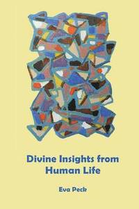 bokomslag Divine Insights from Human Life