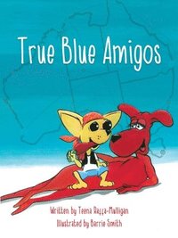 bokomslag True Blue Amigos