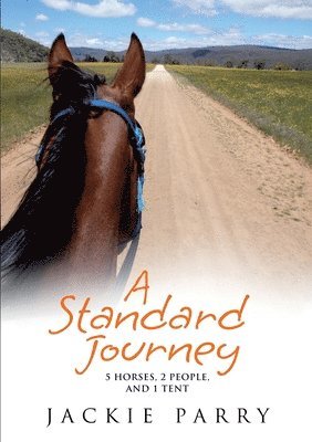 bokomslag Standard Journey