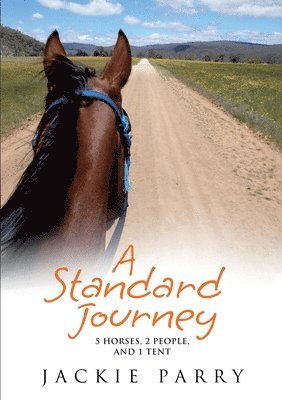 A Standard Journey 1