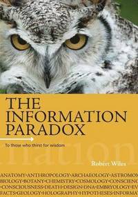 bokomslag Information Paradox