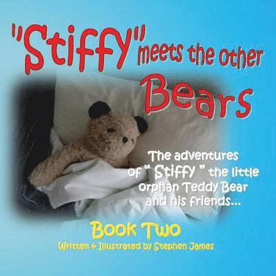 Stiffy Meets the Other Bears 1