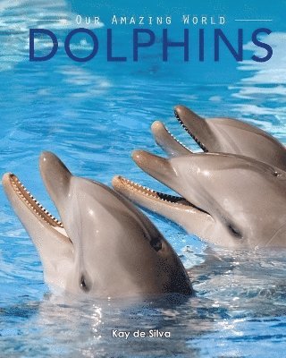 bokomslag Dolphins