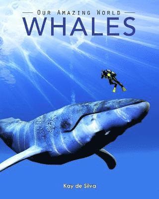 Whales 1