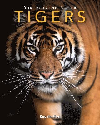 bokomslag Tigers