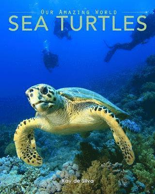 Sea Turtles 1