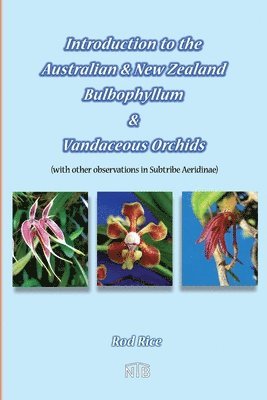 Introduction to the Australian & New Zealand Bulbophyllum & Vandaceous Orchids (with other observations in subtribe Aeridinae). 1