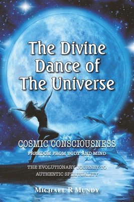 bokomslag Divine Dance of The Universe