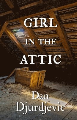 bokomslag Girl in the Attic