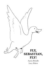 bokomslag Fly, Sebastian, Fly!
