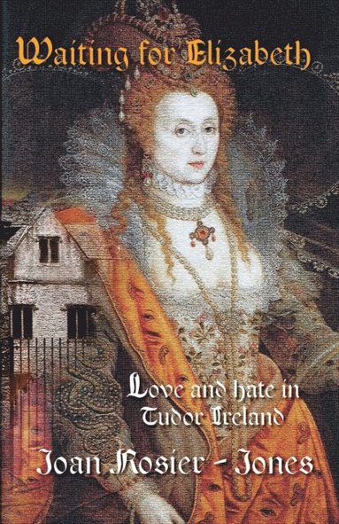 bokomslag Waiting For Elizabeth: Love and Hate in Tudor Ireland