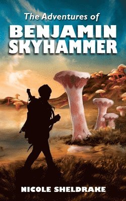 Aynsley Friesen - The Adventures of Benjamin Skyhammer, Häftad