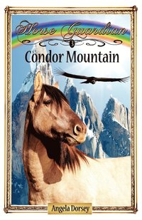bokomslag Condor Mountain