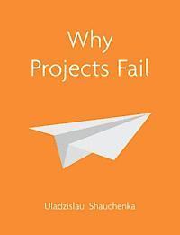 bokomslag Why Projects Fail