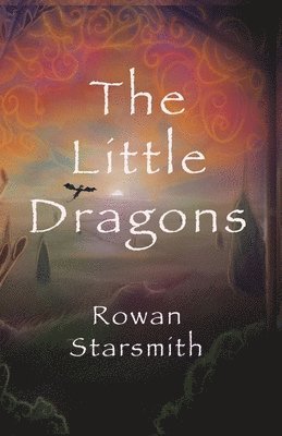 bokomslag Little Dragons
