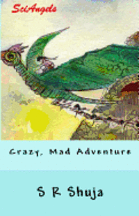 SciAngels: Crazy, Mad Adventure 1