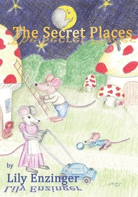 The Secret Places 1