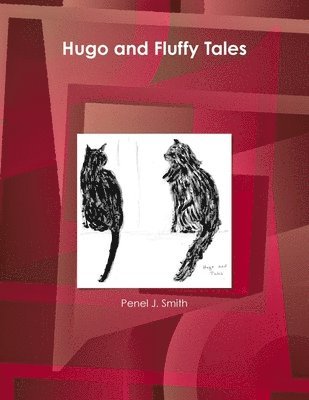 bokomslag Hugo and Fluffy Tales