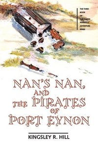 bokomslag Nan's Nan and the Pirates of Port Eynon