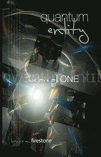 bokomslag Quantum Entity - We Are All ONE