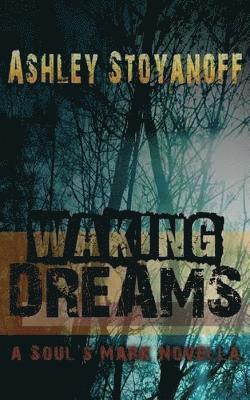 Waking Dreams