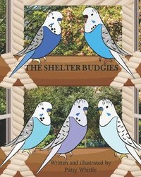 bokomslag The Shelter Budgies